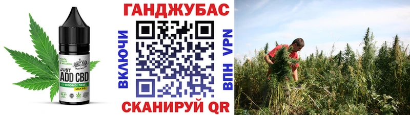 Cannafood марихуана  KRAKEN   Могоча  сколько стоит 