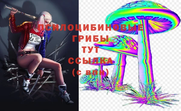 jwh Аркадак
