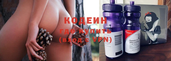 прущие грибы Арсеньев