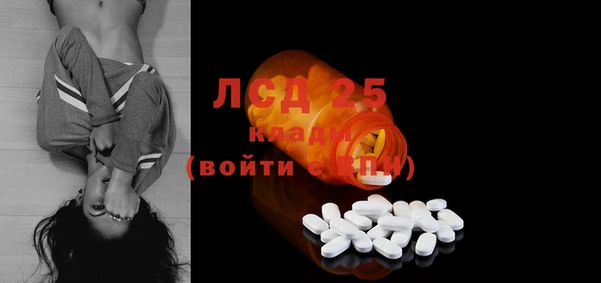 ПСИЛОЦИБИНОВЫЕ ГРИБЫ Армянск