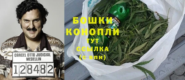 прущие грибы Арсеньев