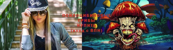 jwh Аркадак