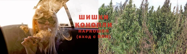 ПСИЛОЦИБИНОВЫЕ ГРИБЫ Армянск
