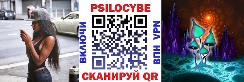 как найти закладки  Могоча  Псилоцибиновые грибы мицелий 